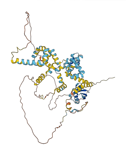 UBQLN1 3D structure