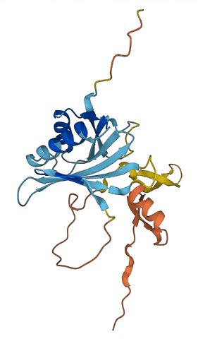 OAZ3 3D structure