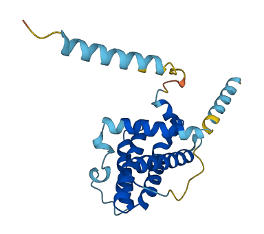 BOK 3D structure