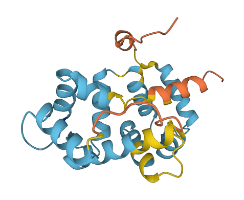 GUCA1B 3D structure
