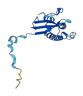 SNX12 3D structure