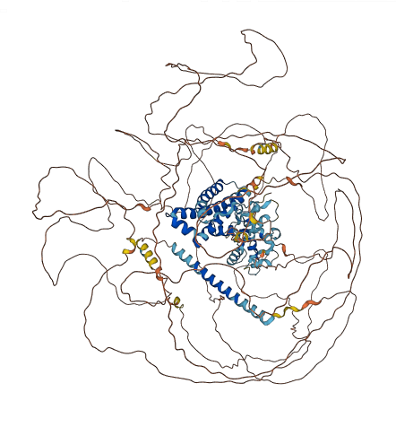SYNRG 3D structure