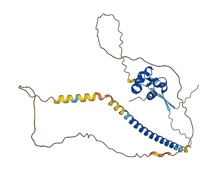 SCML1 3D structure