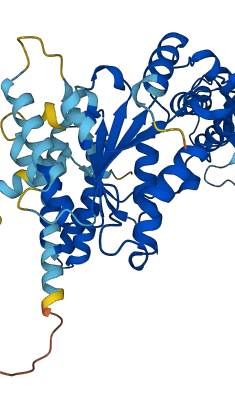 VPS4A 3D structure