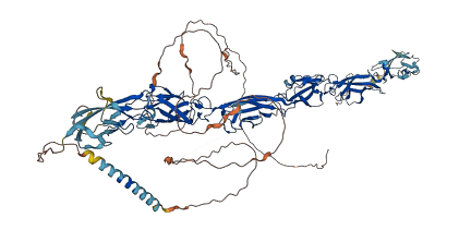 PCDHA6 3D structure