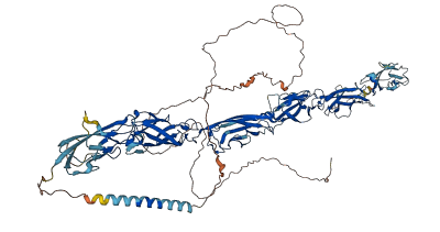 PCDHA12 3D structure