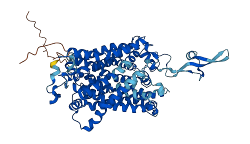 SLC6A14 3D structure