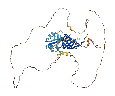 G3BP2 3D structure