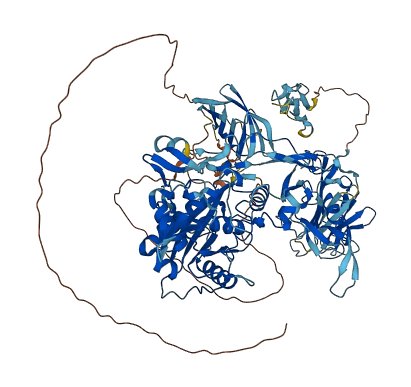 ADAMTS5 3D structure
