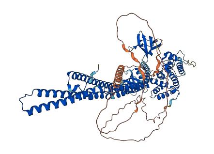 ARHGAP26 3D structure