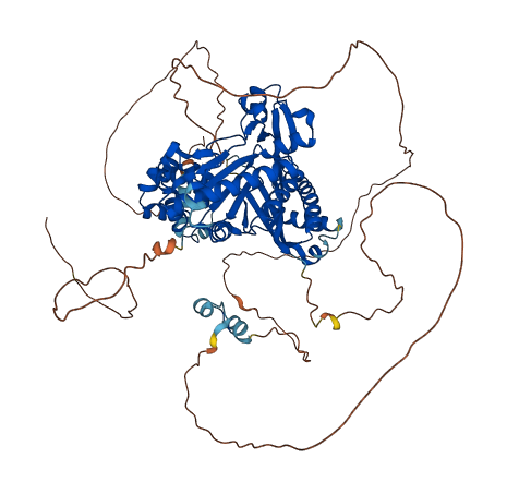POLI 3D structure