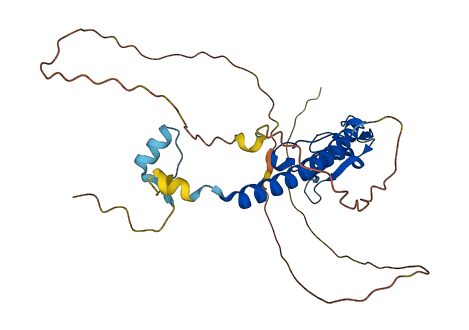 RPH3AL 3D structure