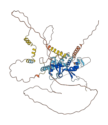 MAGED2 3D structure