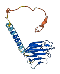 TNFSF18 3D structure