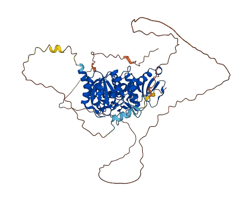 CDC14A 3D structure