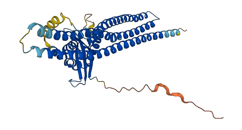 SNX7 3D structure