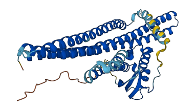 SNX6 3D structure