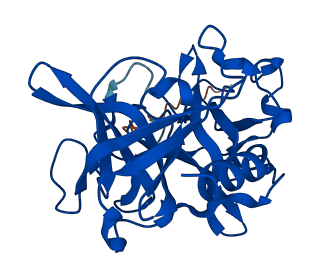 CELA1 3D structure