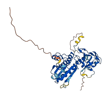 DUSP12 3D structure