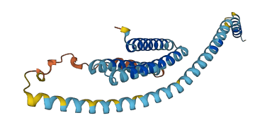 STX8 3D structure