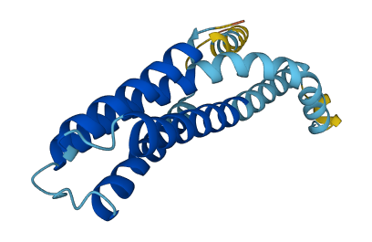 SSR3 3D structure