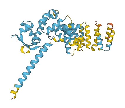 PSMD13 3D structure