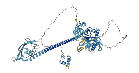 FAF1 3D structure
