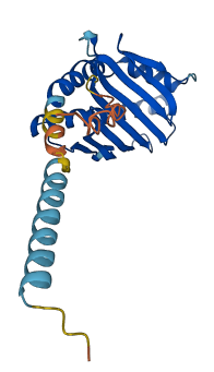 PROCR 3D structure