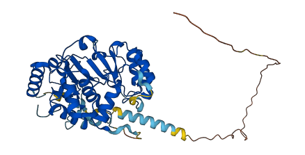 ST3GAL5 3D structure