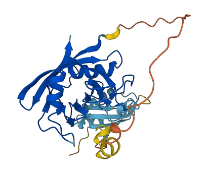 PPIE 3D structure