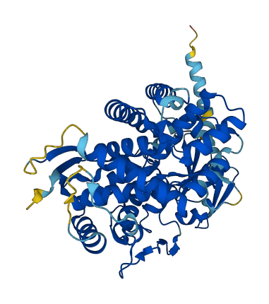CYP8B1 3D structure