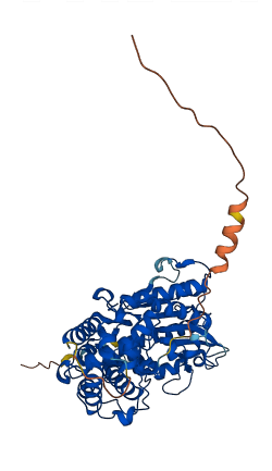 MINPP1 3D structure