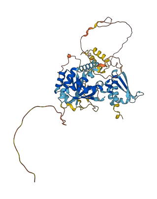 NOVA2 3D structure
