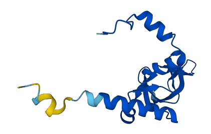 RPL26L1 3D structure