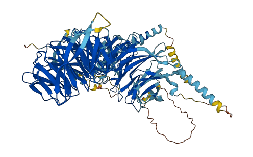 WDR3 3D structure