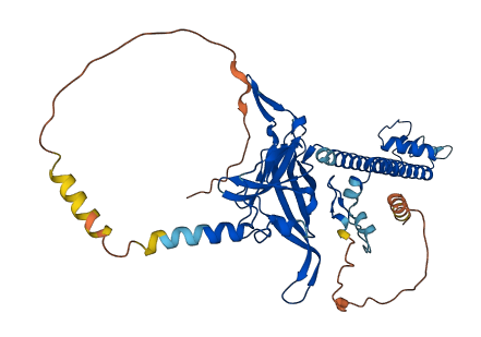 KCNJ14 3D structure