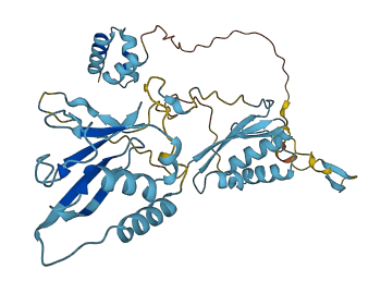 NSFL1C 3D structure