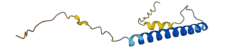 C19orf53 3D structure