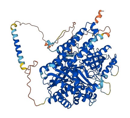 TFR2 3D structure