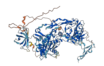 ADAMTS8 3D structure
