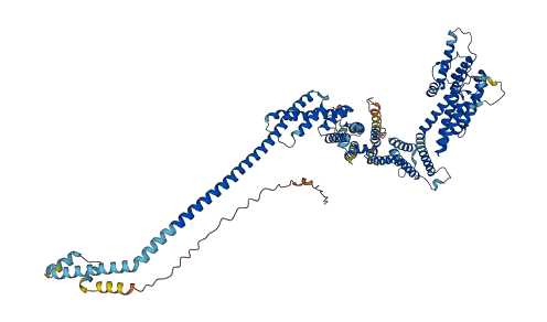 COG5 3D structure