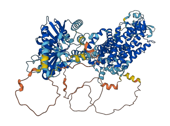 SLC12A4 3D structure