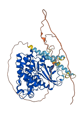 SRPK3 3D structure