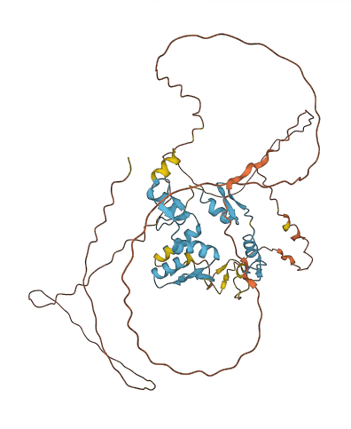 PLAGL2 3D structure