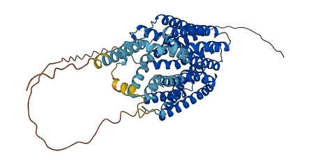FLVCR2 3D structure