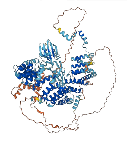 AP4E1 3D structure
