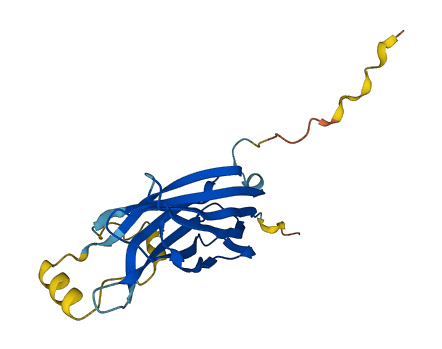 B9D1 3D structure