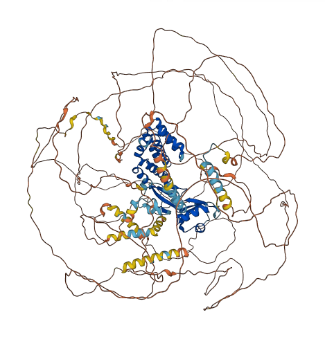 SCAF8 3D structure