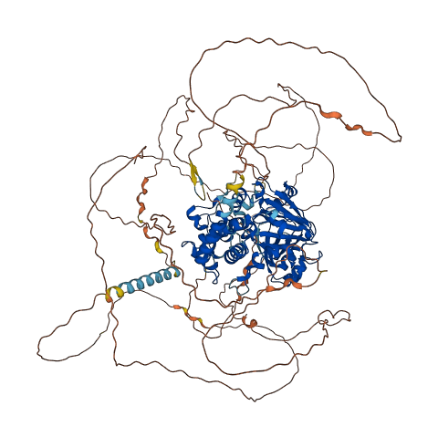 PHF8 3D structure