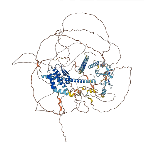 LIMCH1 3D structure
